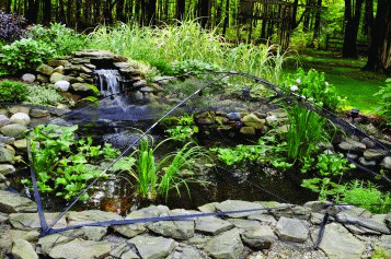 Atlantic Pond Cover Picture