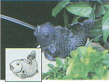 Fish Pond Spitter