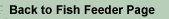 Back to the Fish Feeder Page