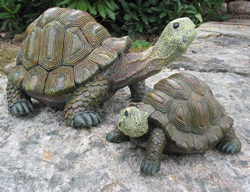 Floating Turtles