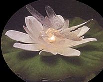 Lily Light Dragonfly