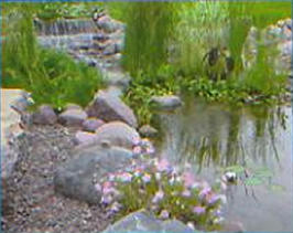 Medium pond built with EasyPro Medium Pond Kit