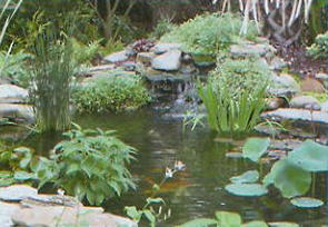 Small pond built with EasyPro Small Pond Kit