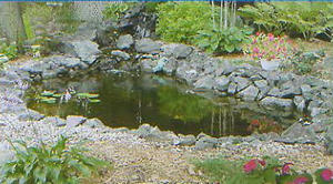 Mini Pond built with EasyPro Mini Pond Kit