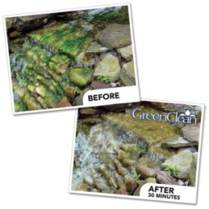 GreenClean before and after picture