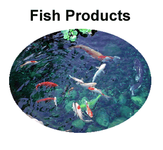 Fish Products