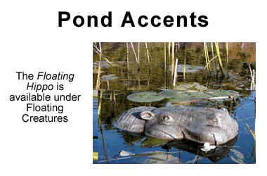 Pond Accents