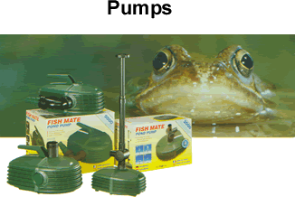 Pumps